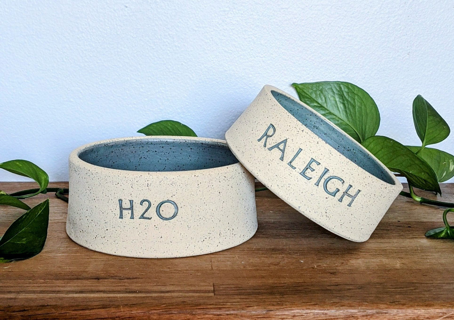 Short Dog Bowl