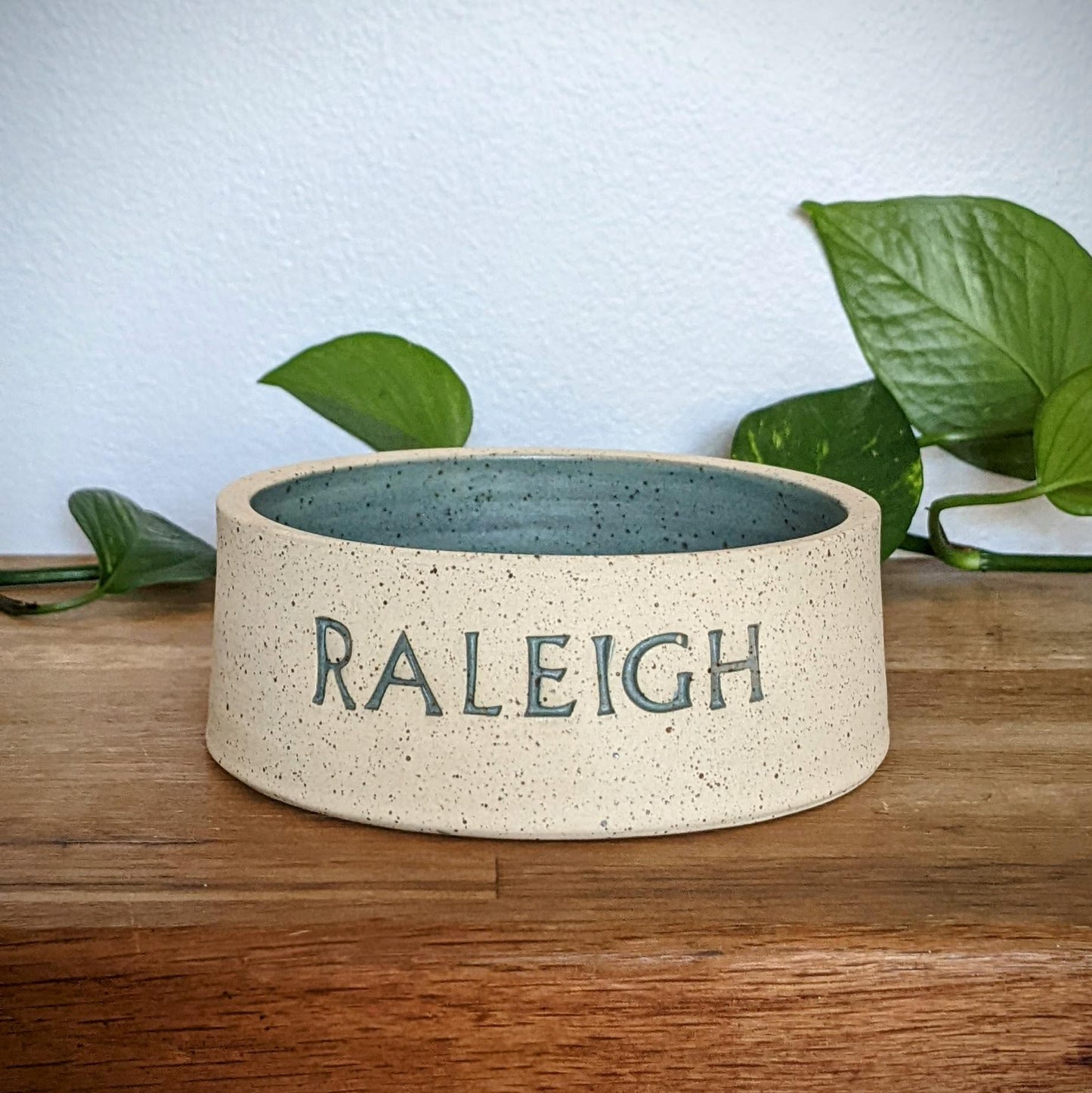 Short Dog Bowl