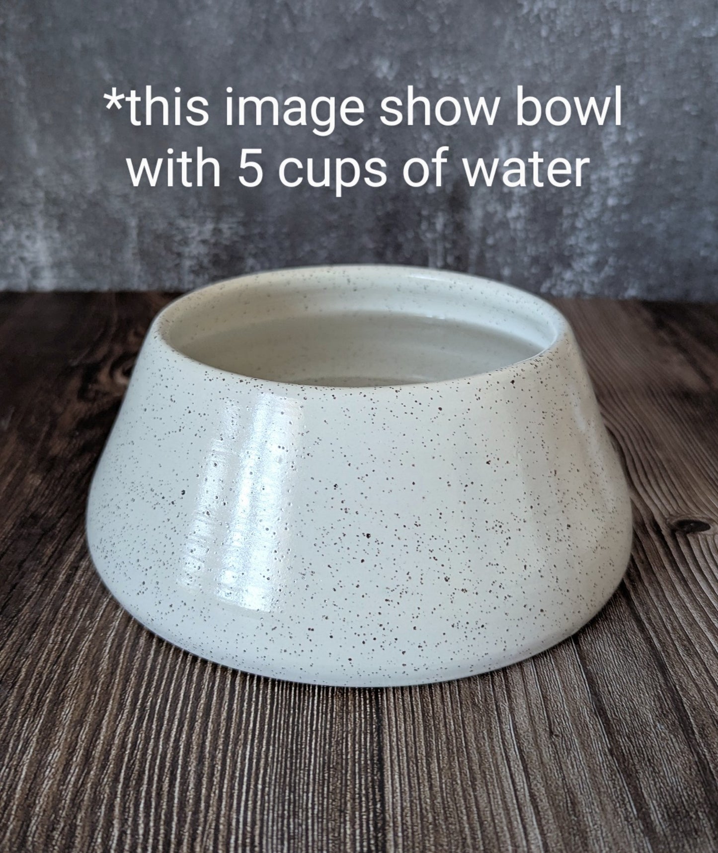 XLarge Tall Tapered Dog Bowl- Fully Glazed